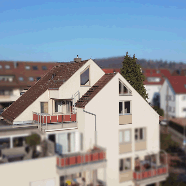 DJI_0453
